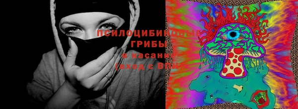 спиды Алексеевка