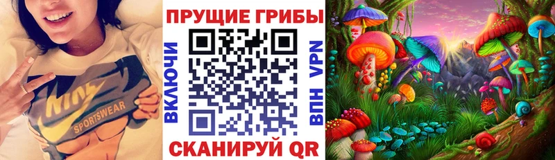 Купить  Северская  Псилоцибиновые грибы прущие грибы 